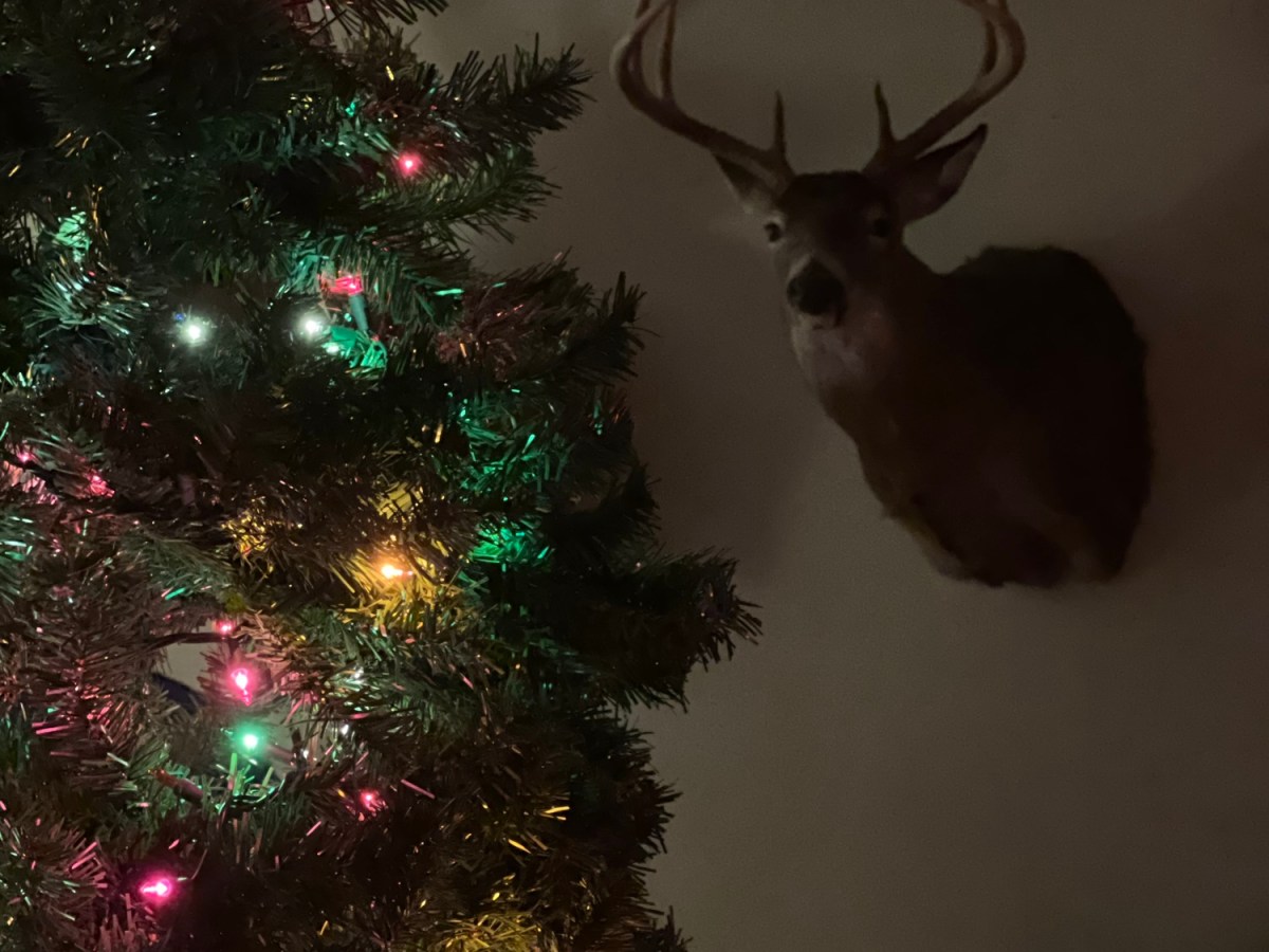 A kind of&nbsp;anniversary